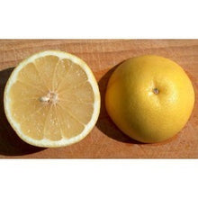 Carica l'immagine nel visualizzatore di Gallery, Pompelmo Giallo cal 1-2 cat I