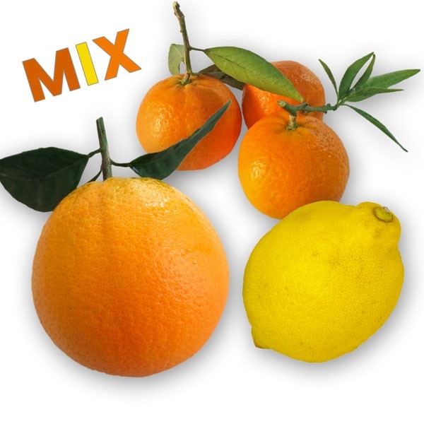 Mix di Agrumi 18 kg - Arance Limoni Mandarini cat I