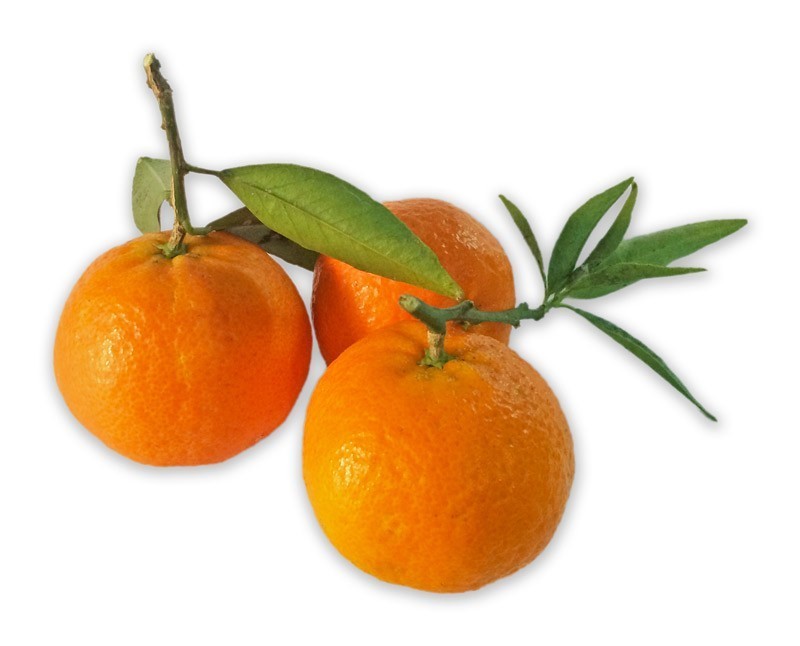 Mandarini Clementine apireno di Ribera cat I