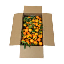 Carica l'immagine nel visualizzatore di Gallery, Mandarini Clementine apireno di Ribera cat I