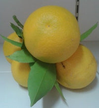 Carica l'immagine nel visualizzatore di Gallery, Arance Vaniglia Apireno cat I