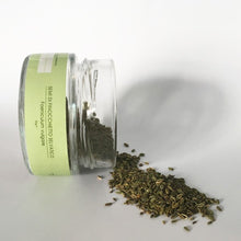 Carica l'immagine nel visualizzatore di Gallery, Semi di Finocchietto selvatico