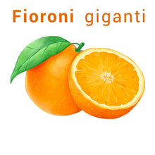 Carica l'immagine nel visualizzatore di Gallery, Arance Fioroni Cal Max 1-2 Washington navel cat I