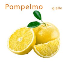 Load image into Gallery viewer, Pompelmo Giallo cal 1-2 cat I
