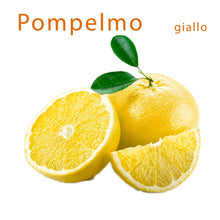 Carica l'immagine nel visualizzatore di Gallery, Pompelmo Giallo cal 1-2 cat I