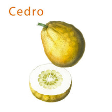 Carica l'immagine nel visualizzatore di Gallery, Cedri Siculi cal 1-2 cat I