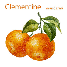 Carica l'immagine nel visualizzatore di Gallery, Mandarini Clementine apireno di Ribera cat I