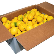 Carica l'immagine nel visualizzatore di Gallery, Limoni di Ribera cal 1-2 cat I