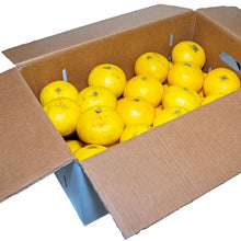 Carica l'immagine nel visualizzatore di Gallery, Pompelmo Giallo cal 1-2 cat I